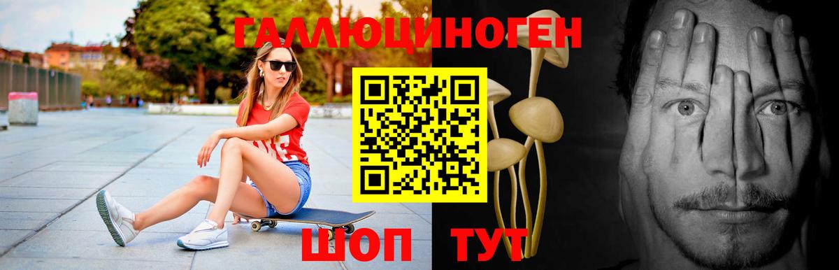 цены   Вход с VPN  Мурино  Псилоцибиновые грибы прущие грибы 